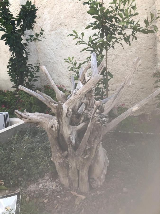 B&B Villa S.Anna Bari Exterior photo
